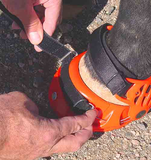 How to Install the Boot - Renegade Hoof Boots